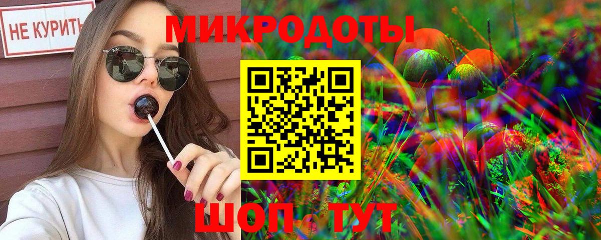 Псилоцибиновые грибы Psilocybine cubensis Буйнакск