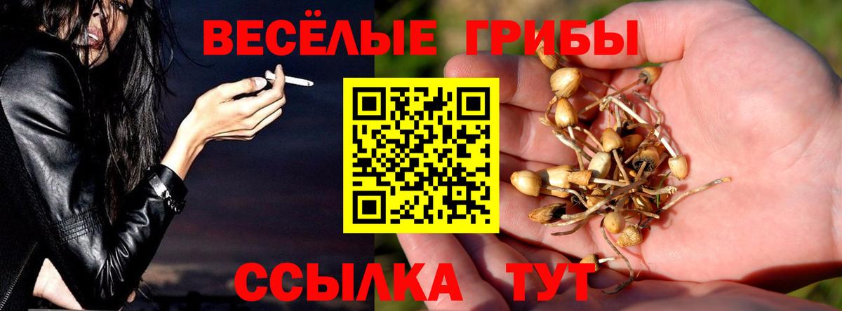 Буйнакск  продажа наркотиков  Псилоцибиновые грибы Magic Shrooms  Вход с VPN  Псилоцибиновые грибы Cubensis 